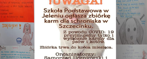 Zbiórka karmy dla schroniska w Szczecinku