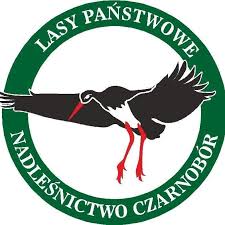 Konkurs Plastyczny Nadleśnictwa Czarnobór w naszej szkole