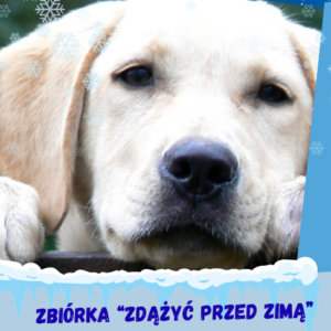 ZBIÓRKA DLA SCHRONISKA „ZDĄŻYĆ PRZED ZIMĄ”